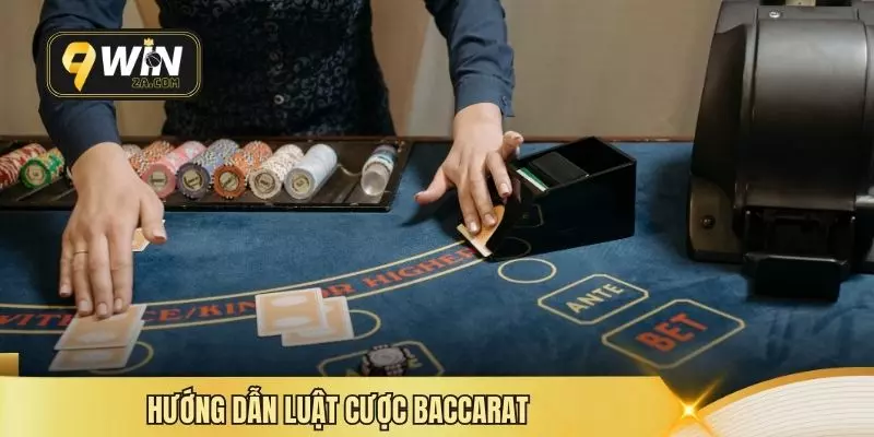Hướng dẫn luật cược baccarat